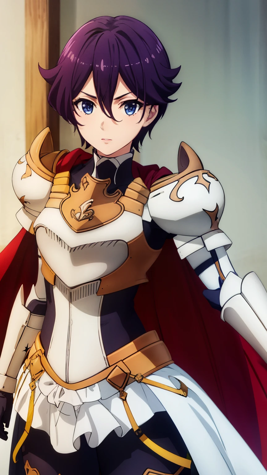 highest quality, High resolution, beautiful eyes, highly detailed face, Detailed CG,Beefy Talecati, Beefeater E Catty, short hair, purple hair, blue eyes, hair between eyes,
 skirt, gloves, cape, armor, shoulder armor, gauntlet,
highly detailed face, perfect lighting, Very detailed CG,stylish pose, stylish angle,looking at the viewer, in the center of the image,cowboy shot,