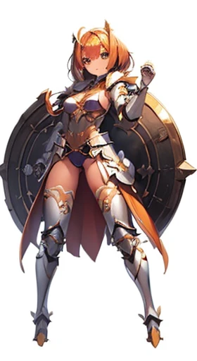 (((Best Quality))) , ((full body)), female, reference sheet, solo, (white background), holding shield, leotard, armored dress, waist armor, loincloth, pelvic curtain,  blue, orange, green, violet, brown, white, thigh high,