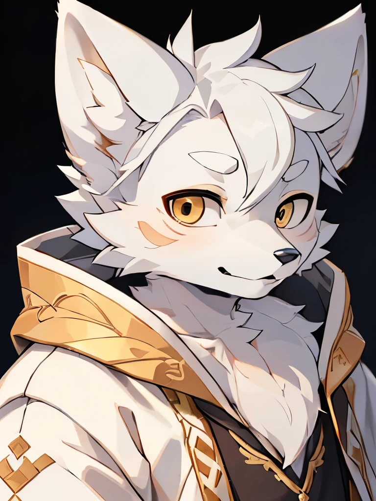 ((best picture quality))，masterpiece，the only person，Super detailed，(male arctic fox:1.5), (white skin:1.3), hairy，(white fur:1.3),(golden pupils) ,(gray ears),(hairy 动物 耳朵s)，((robe))，Chinese style，upper part of body，Character close-up，((Detailed eye details))