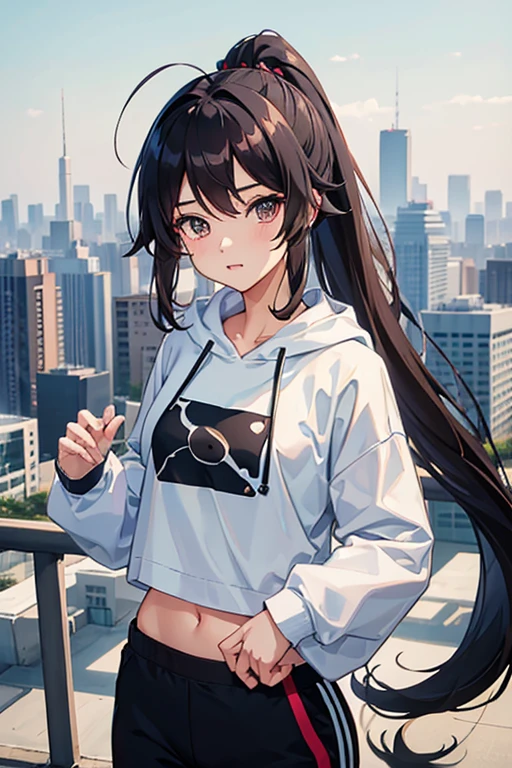 very good image, a cute beautiful anime tomboy girl, long hair, hu tao , ponytail, white crop top hoodie, black training pants, city(hd view), high quality, high details