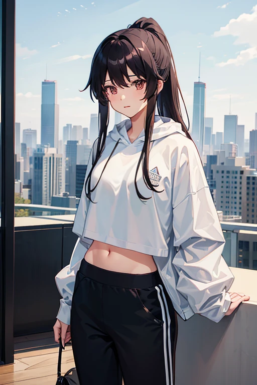 very good image, a cute beautiful anime tomboy girl, long hair, hu tao , ponytail, white crop top hoodie, black training pants, city(hd view), high quality, high details