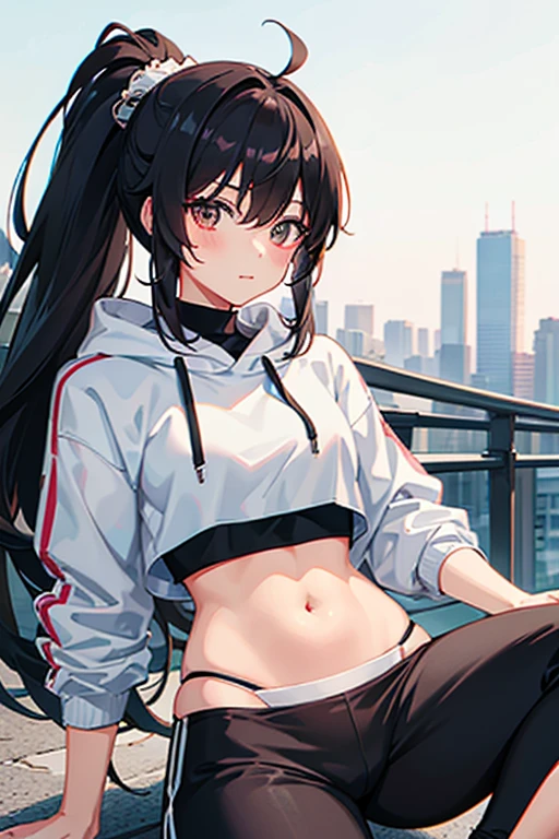 very good image, a cute beautiful anime tomboy girl, long hair, hu tao , ponytail, white crop top hoodie, black training pants, city(hd view), high quality, high details