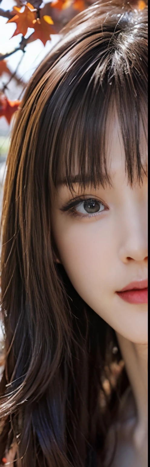 8K resolution、Ultra-high-definition CG、Cherry blossoms at night、moonlight、long focus、1 female、20-year-old、beautiful face、(long wave、blonde:1.4)、(Stop Hair:1.4)、(Spring coordination)、Leather Mini Dress、knee high boots、Variation Color、big breasts、beautiful chest line、pendant、Detailed and beautiful eyes、Tunnel of bright red autumn leaves、Dark Border、disorder、24K Graphic Arts、carefully drawn background、Depth of composition、from below(nsfw:1.3) There is an angle of