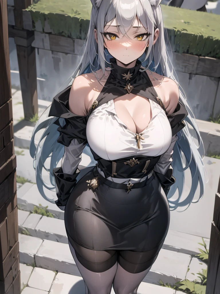 8K, Full body portrait, single woman, especially detailed face, masterpiece, wallpaper, highlydetailed face, ultra-detailed face, beautiful and aesthetic wolf girl, voluptuous, big breasts, curvy, long hair, gray-silver hair, a young wolf woman, wolf ears, wolf tail, long wolf tail, wolf-like irises, beautiful, enchanting, bright yellow eyes, detailed eyes, ultra-detailed eyes, accurate eyes, detailed irises, correct body proportions, elegant, small vertical scar under right eye, small rosy lips, big breasts, slender elegant arms, pretty hands, detailed hands, charming, slight blush, smug smile, black stylish shorts and top outfit, detached sleeves, light black armor, armored bike shorts, two piece outfit, black armored fur cloack, black metal armor, bare off shoulders, toned abs, exposed belly, standing pose, hands on hips pose, cute pose, black silk thighigh on the left leg, sole girl