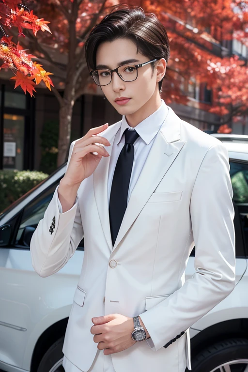 (One wears silver-white titanium alloy thin-rimmed glasses、Wearing a white shirt、Asian man in suit and tie,About 30 years old.Height 180 cm)、best quality、masterpiece、ultra high resolution、(Photo realism:1.4)、original photo、(Outdoor Highway One wears silver-white titanium alloy thin-rimmed glasses、Young handsome man in suit standing up、Standing under the red maple tree、Red and big maple leaves、delicate leaves、branch details)、(A white BMW car next to the man、Man's hands on car roof)shadow、octane rendering、8K、Super sharp、realistic light、(There is only one car on the street、man's shining eyes、looking in the direction of the camera)、小LED、Ultra high quality、 High、 gentleman、very beautiful hair、 bright photos、 As handsome as a model、 As handsome as an idol,Professional profile photo, Professional portrait photos、Realistic portrait photos, Detailed color portrait, Portrait of an idol, High quality portrait.