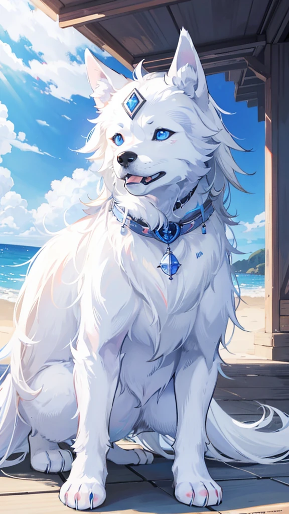 A dog from the Husky breed, distinguished by its bright white fur and beautiful blue eyes.