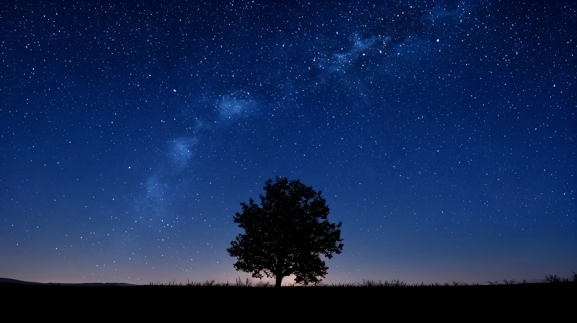 starry sky with a lone tree in a field, Galactic Tree Made of Stars, Trees and stars background, The tree is on the left,There is a bench next to the tree,Nature landscape at night, starry skyのある夜, Starry sky background, Moonlit starry sky environment, calm night. digital illustration, night background, night sky background, starry sky, The background is dark and stars are visible, Night sky with stars