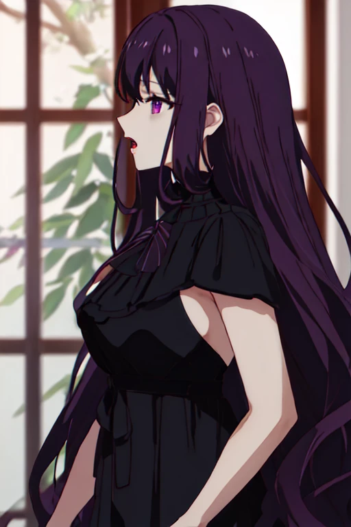 best quality, masterpiece, highres, solo, {tilty_claret_tenseioujototensaireijounomahoukakumei:1.15}, long_hair, bangs, purple_hair, purple_eyes, black_hair, blurry, 1girl, blurry_background, closed_eyes, from_side, open_mouth, profile, dress, hair_between_eyes