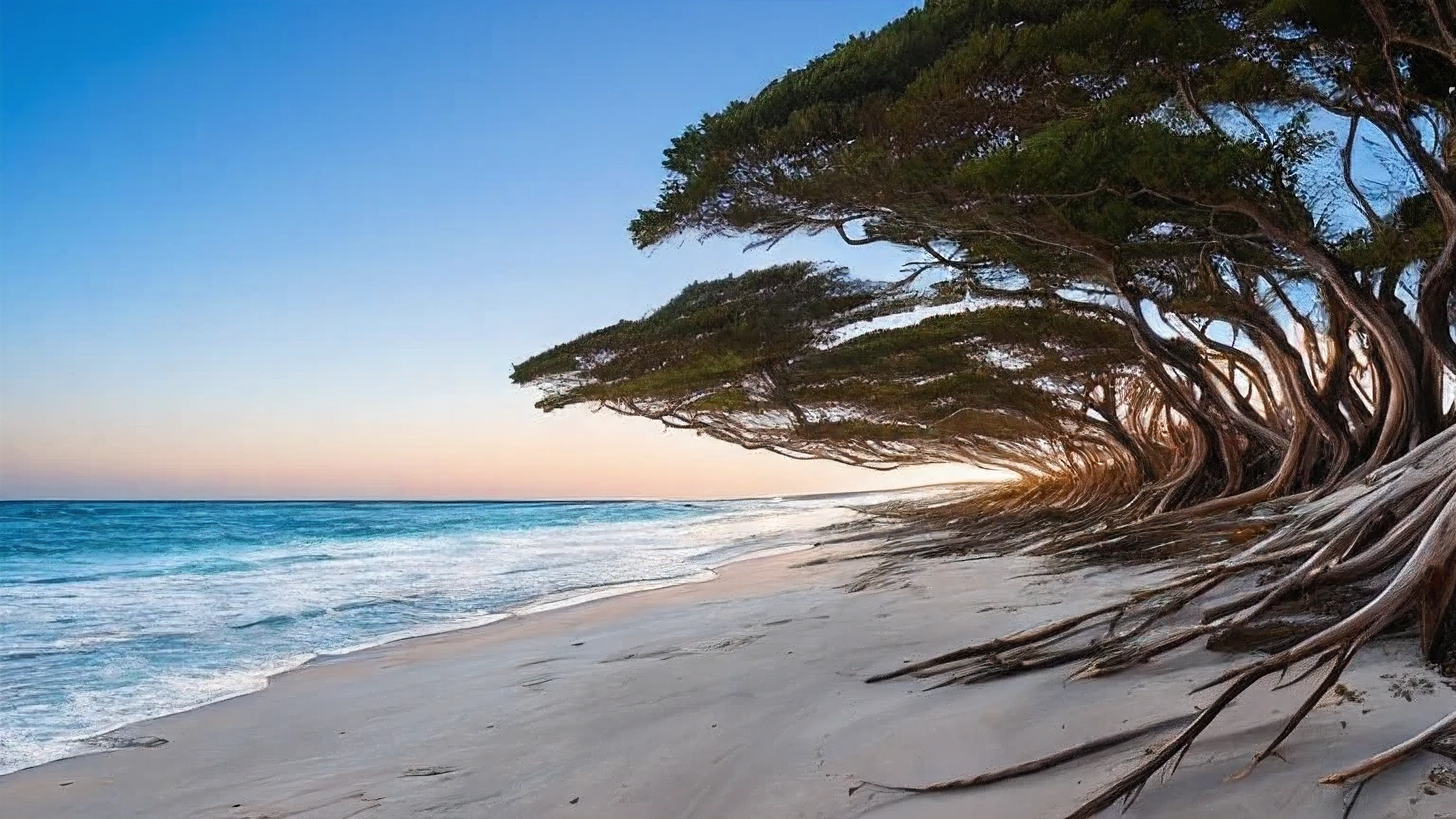 trees that have been washed up on the beach by the ocean, unfinished roots of white sand, incredibly beautiful, by Richard Gruelle, beach trees in the background, breath taking, breath taking beautiful, driftwood, enigmatic natural beauty, beautiful and ominous, gnarly trees, stunning photograph, old trees, surreal!!!, beautiful! coherent!, unbelievably beautiful, stunning sight