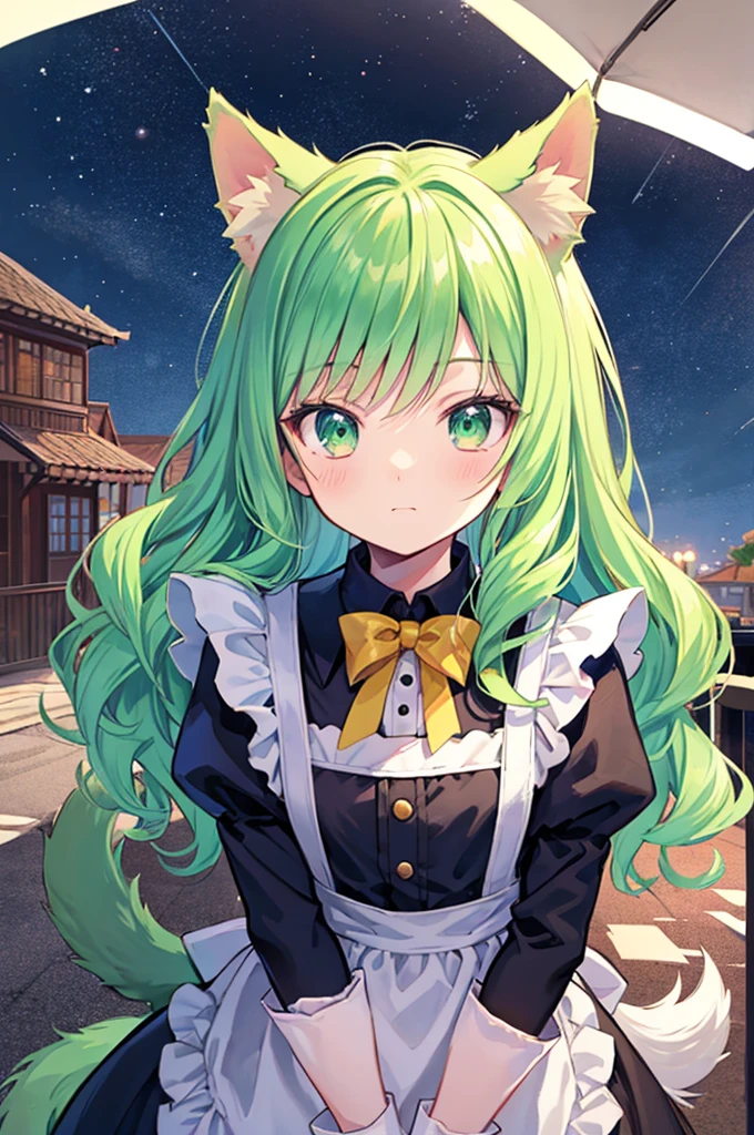 anime style dark thick outline,ultra detailed face,
cute boy,chou kawaii shota,light green hair,wavy long hair,dog ears,dog tail,wearing maid costume,gloves,