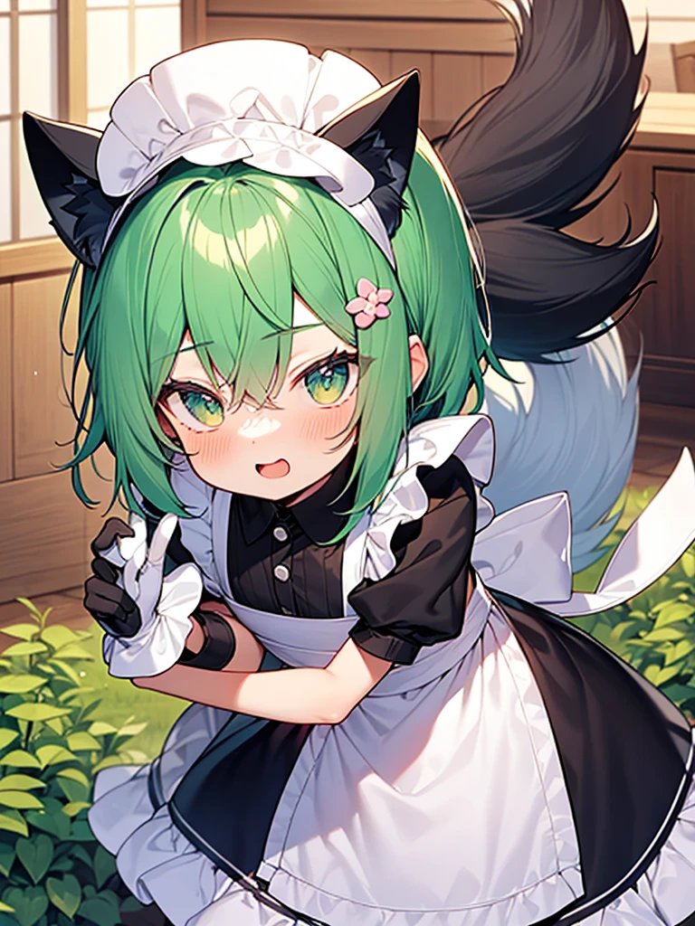 anime style dark thick outline,ultra detailed face,
cute boy,chou kawaii shota,light green hair,wavy long hair,dog ears,dog tail,wearing maid costume,gloves,