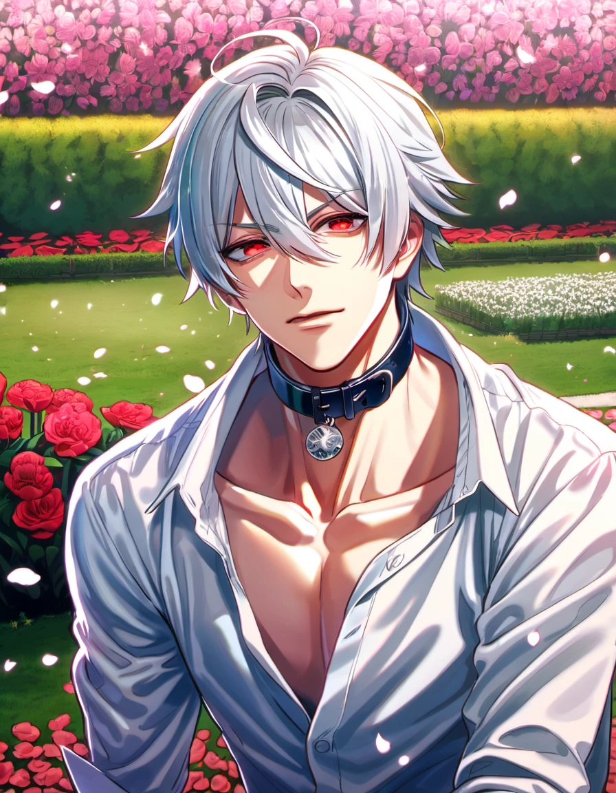 absurdres, highres, ultra detailed, HDR, master piece, best quality, Samatoki Aohitsugi, white hair, expressive red eyes, Hypnosis Mic, white dress shirt, showing the collar bone, blue jeans, 1man, handsome, petals, garden