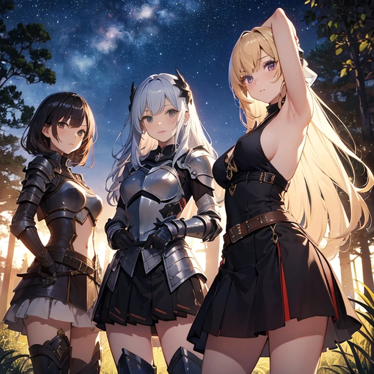 A group of young female knight, (in forest), various hair styles, harem, wearing armored clothes, metal armor, night, details face, , short skirt, seducing, sword, sleeveless , showing armpits, night, starry night