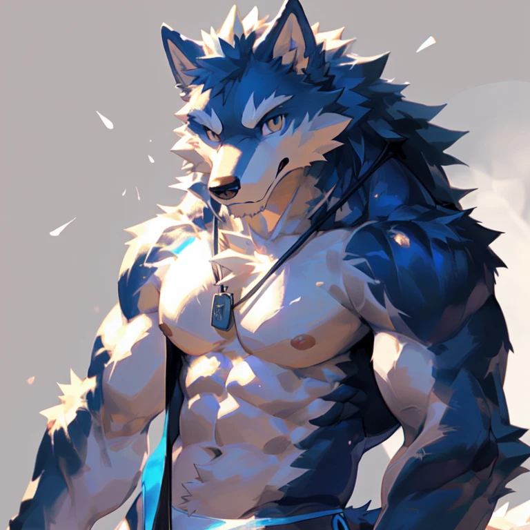 (masterpiece,highest quality,super detailed,perfect anatomy),kemono,white background,particles of light,sharp focus,by null-ghost,alone,anthro,Wolf,naked,muscular (white fur:1.5,white body:1.5),looking at the viewer,fine eyes,thong,dog tag