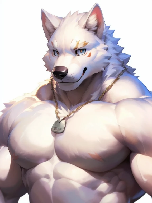 (masterpiece,highest quality,super detailed,perfect anatomy),kemono,white background,particles of light,sharp focus,by null-ghost,alone,anthro,Wolf,naked,muscular (white fur:1.5,white body:1.5),looking at the viewer,fine eyes,thong,dog tag