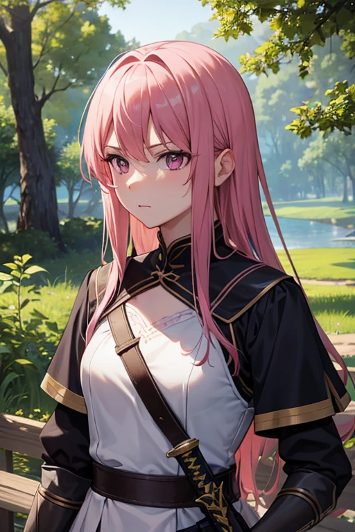 最high quality,very detailed,high quality,Extremely detailed,masterpiece,Super fine,ultra high resolution,超high quality,super delicate face,super realistic,(1 person:1.2)、woman、(Mature:1.5)、pink hair color、(pink eyes)、small breasts 、slender body、serious face、Anime character with sword and armor、(holding a sword:1.2)、adventurer Overall image、(wilderness:1.2)