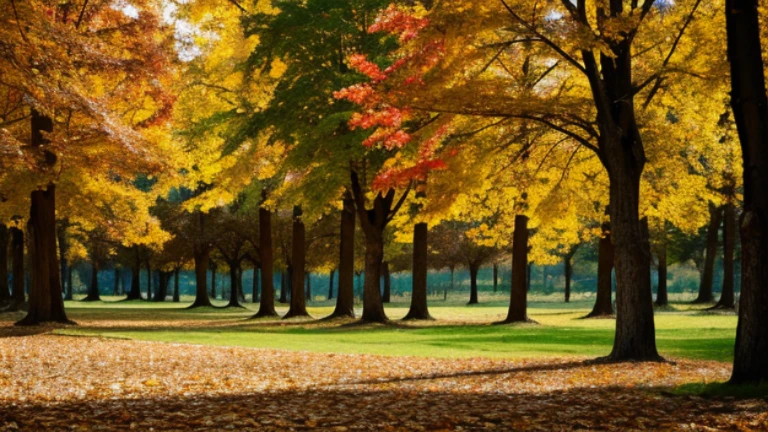 Autumn wood birds lanscape