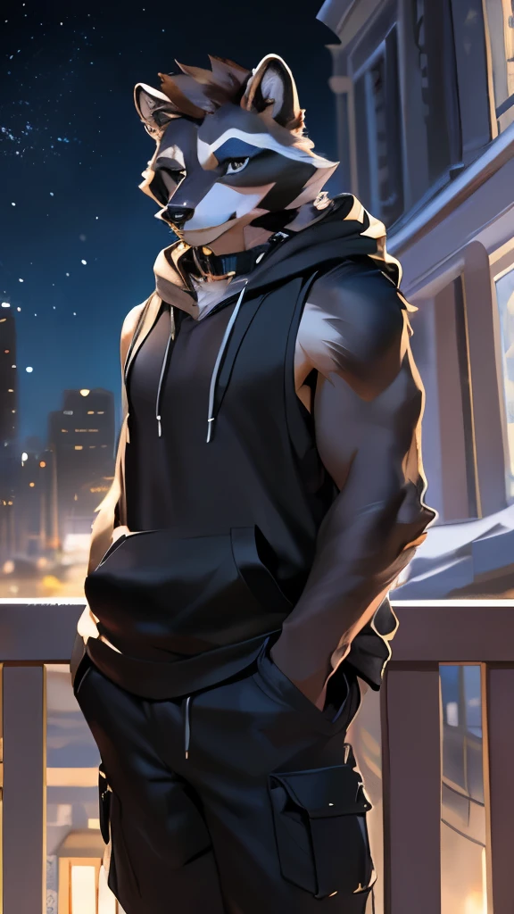 (Artist by chunie, 8k, high quality, detailed eyes and fur, night, residents background), solo, male raccoon, anthro, brown hair, grey body, male body, blue eyes, black ears, hair covers eyes, hands white, oversized black collar, eyeliner black, sleeveless black hoodie, hoodie is open, no shirt, baggy black cargo pants