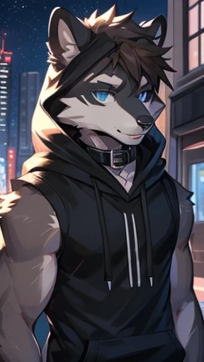 (Artist by zackary911, 8k, high quality, detailed eyes and fur, night, residents background), solo, male raccoon, anthro, brown hair, grey body, male body, blue eyes, black ears, hair covers eyes, hands white, oversized black collar, eyeliner black, sleeveless black hoodie, hoodie is open, no shirt