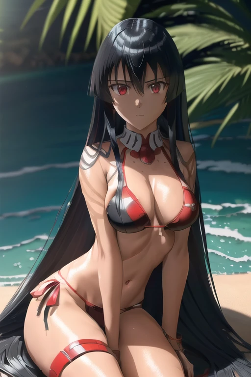 akame (akame ga kill!), (masterpiece, Best quality, wallpaper), (((extremely detailed, complex parts, lush details, insanely detailed face, beautiful red eyes, shiny skin, Keen eyes))), ((Beach, palm trees, is sitting, detailed water, Blue sky, cinematic angle, dramatic shadows, bright colors, backlight, depth of field, high leg, contrasting, toned, (very long hair))), (((One, 1 girl, facing the viewer))), black hair, ((Medium breasts)), (( bikini ))