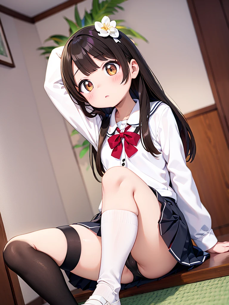 (High definition, high quality),(1 Female, Brown hair, medium length hairstyle, Gradient brown eyes, black eyeliner, thin lips, Sad expression ),( High school girl uniform, pleated mini skirt),( Arms up, Sit down and spread legs), (nsfw,shot from front below:1.2)