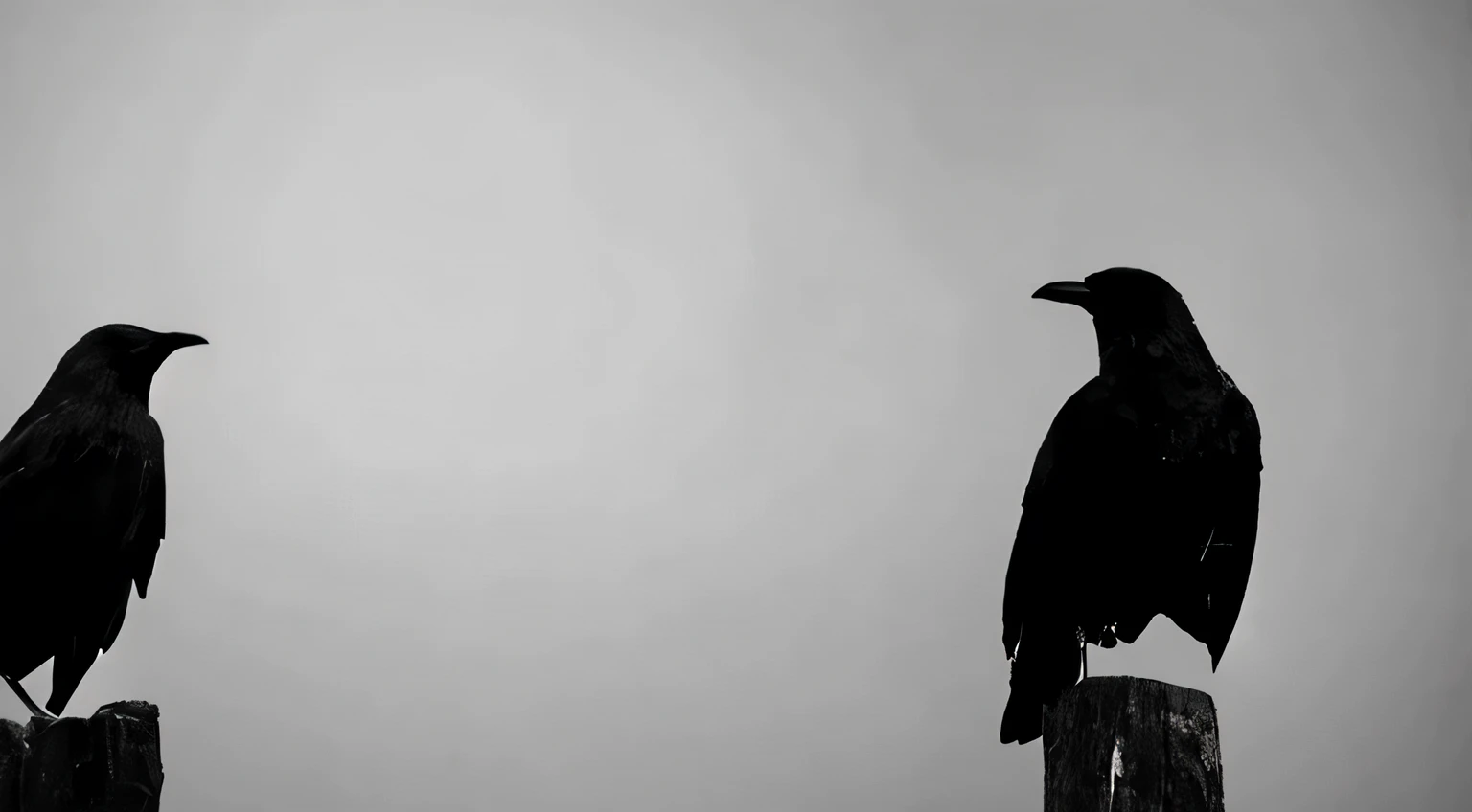 Two birds sitting on top of a wooden post, crow as a symbol of death, crow, crow beautiful, black crow, crow on the oak tree, crow stormy sky of foreboding, crow, black and white pictures, Dark and complex photos, black crow flying, Black silhouette, silhouette, Monochrome Black and White, 黑crow