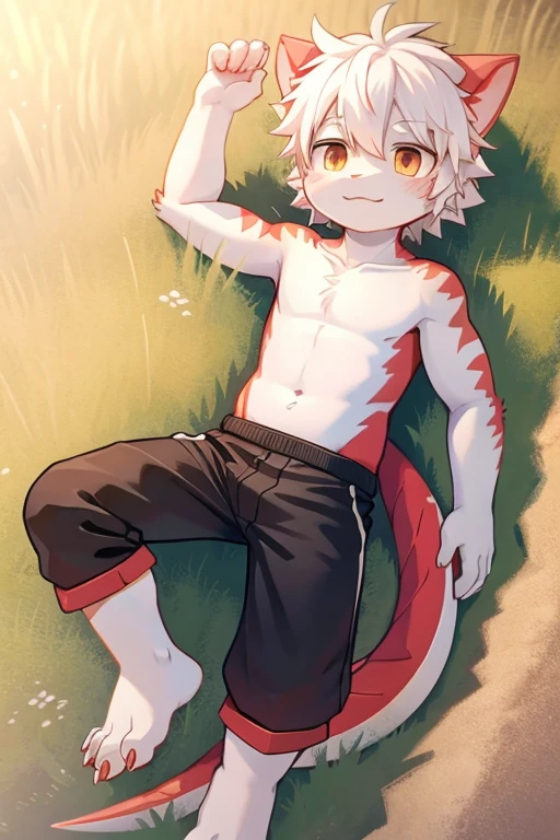 A little boy in a beautiful and charming landscape,Lying in the wheat field, Popular topics on artstation pixiv, Artwork in the style of Gurwitz, very handsome, guweiz on artstation pixiv, Young male human cat,red scales,white hair,full body image,Aerial View,(author:Xia Huaiting:0.8),(author:Pino Deheni:0.8),Dragon tail,Block the steps with your hands,black shorts,3D