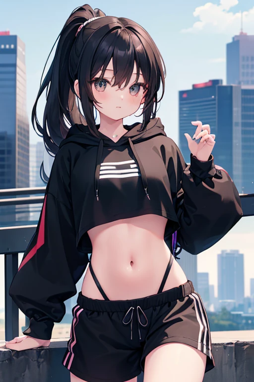 very good image, a cute beautiful anime tomboy girl, long black hair, ponytail, black crop top hoodie, black training pants, city(hd view), high quality, high details, 8k, high res