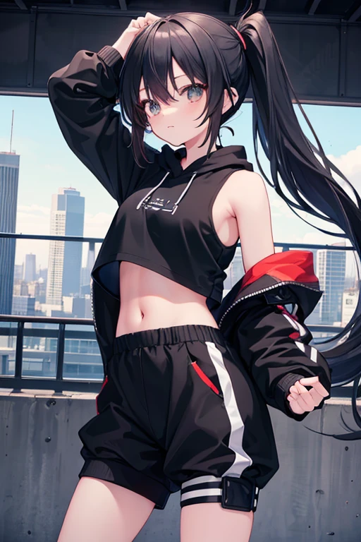 very good image, a cute beautiful anime tomboy girl, long black hair, ponytail, black crop top hoodie, black training pants, city(hd view), high quality, high details, 8k, high res