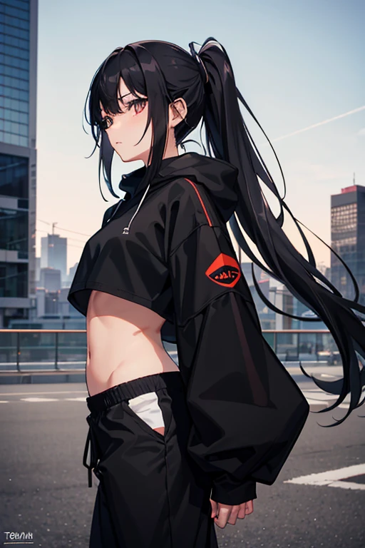 very good image, a cute beautiful anime tomboy girl, long black hair, ponytail, black crop top hoodie, black training pants, city(hd view), high quality, high details, 8k, high res