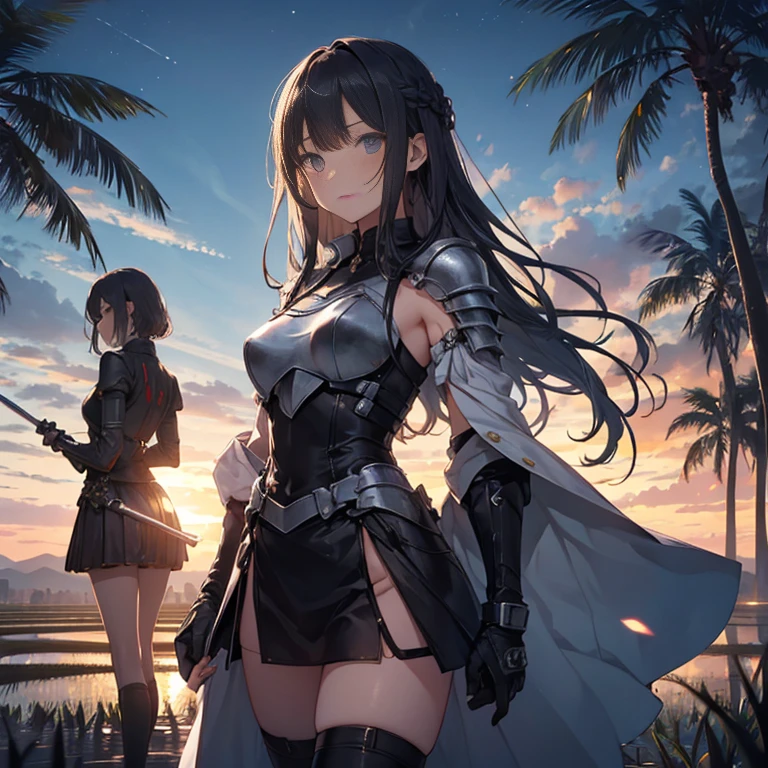 A group of young female knight, (in rice fields), various hair styles, harem, wearing armored clothes, metal armor, night, details face, , short skirt, seducing, sword, sleeveless