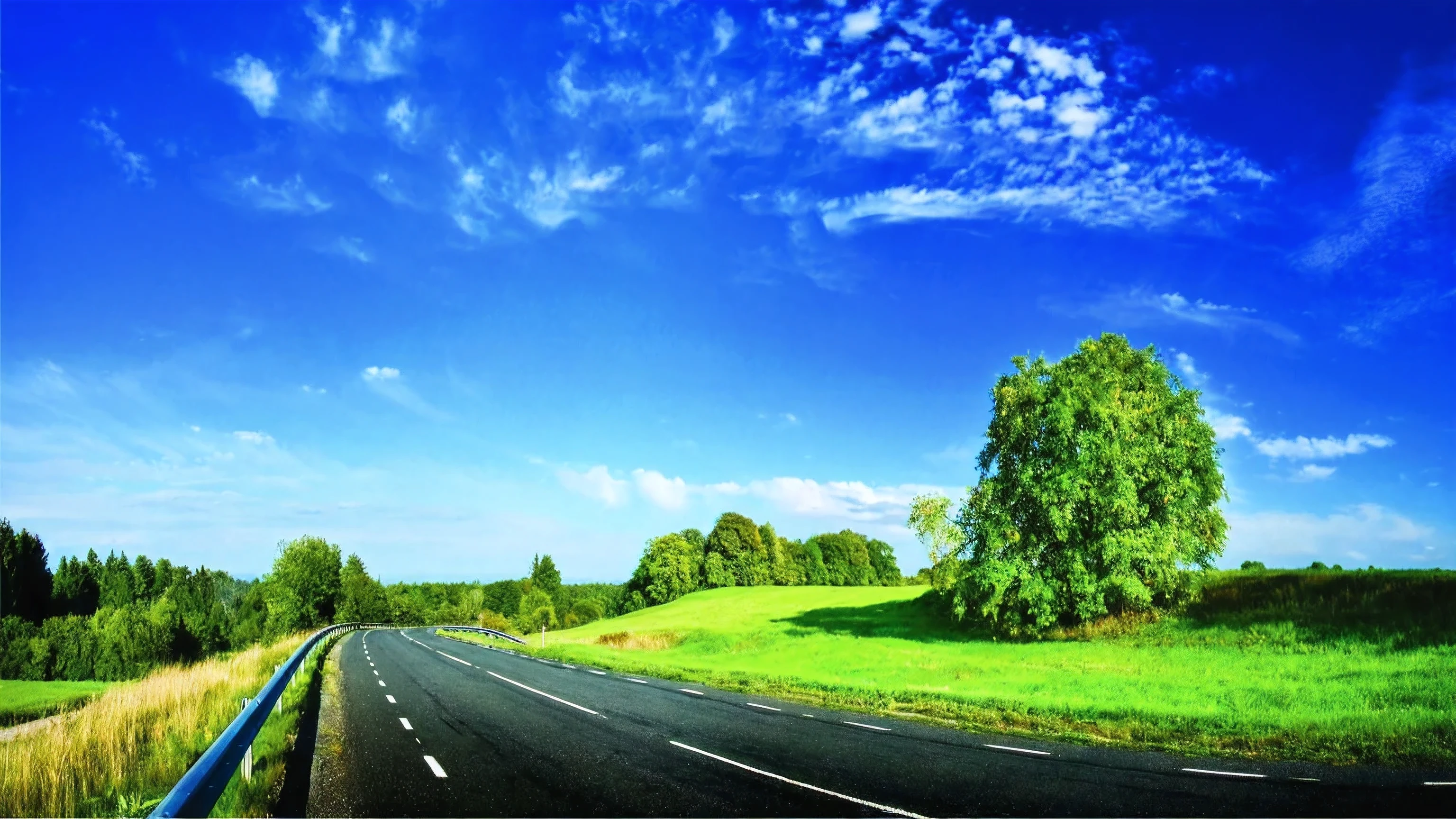 blurred view of a road with a grassy field and trees, paisagem grande angular, ampla paisagem, estrada rural, Estradas, por David Burton-Richardson, captura de tela ampla, Beautiful high resolution, Ambiente tranquilo, paisagem grande angular shot, estrada montanhosa, detailed scenery - width 672, lindo ambiente, Foto-imagem de paisagem, plano geral, estrada aberta, wide Estradas