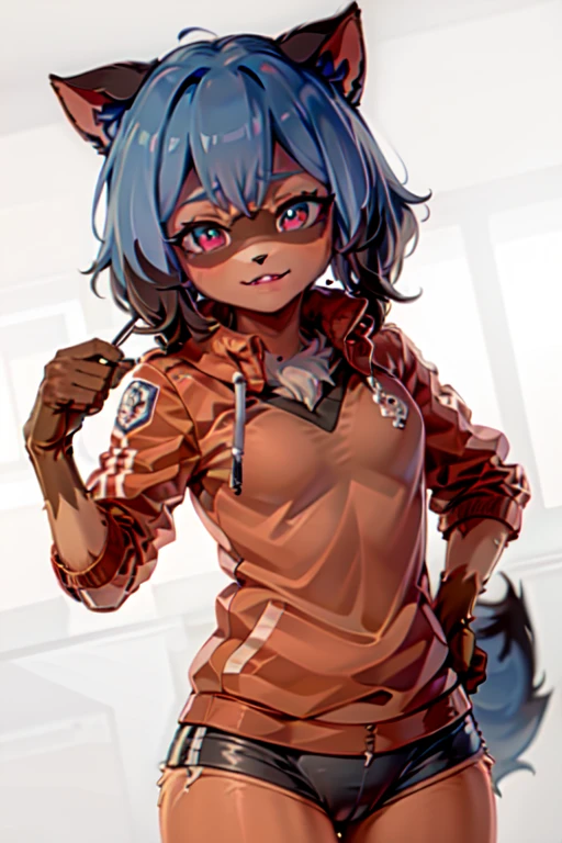 furry raccoon girl, 1girl, Allein, mehrfarbige Augen, Raccoon ears, zweifarbiges Haar, (good quality, Best quality), body fur, tierische Nase, Sonnenuntergang, Horizont, Bergkante, lange Haare, Grauer Mantel, Schwanz, upper body, smile, rote trainingsjacke