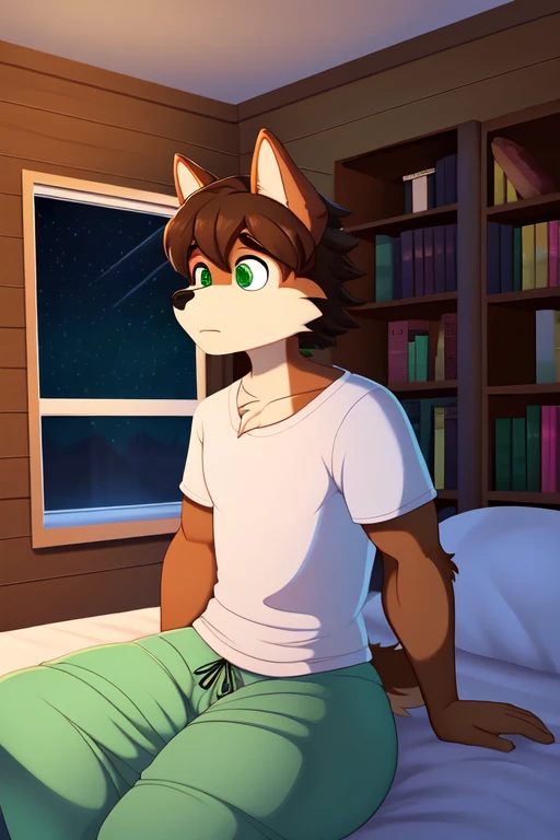 Furry anthropomorphic wolf, Russet brown fur, dark brown hair, dark green eyes, 6'1 and 173 lbs, 41" Chest, 19" Shoulders, 13" Biceps, 32" waist, 23" Thighs, 15" Calves, 19" Back, wearing white T-shirt, wearing mint green pajama pants, sitting on edge of bed, inside bedroom, green walls, logcabin, bookshelves, terrariums, maps on the walls, night time scene, late at night, dark room, nightime outside, looking down, worried, staring, blanket wrapped around themself, soft colors, vivid colors, pastel color, soft shading