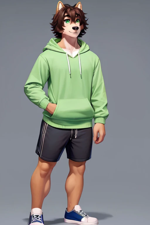 Furry anthropomorphic wolf, Russet brown fur, dark brown hair, dark green eyes, 6'1 and 173 lbs, 41" Chest, 19" Shoulders, 13" Biceps, 32" waist, 23" Thighs, 15" Calves, 19" Back, wearing bright yellow-green zip up hoody, wearing Grayish-green T-shirt, wearing matching sweat shorts, wearing dark slate gray slip on shoes, soft colors, vivid colors, pastel color, soft shading,