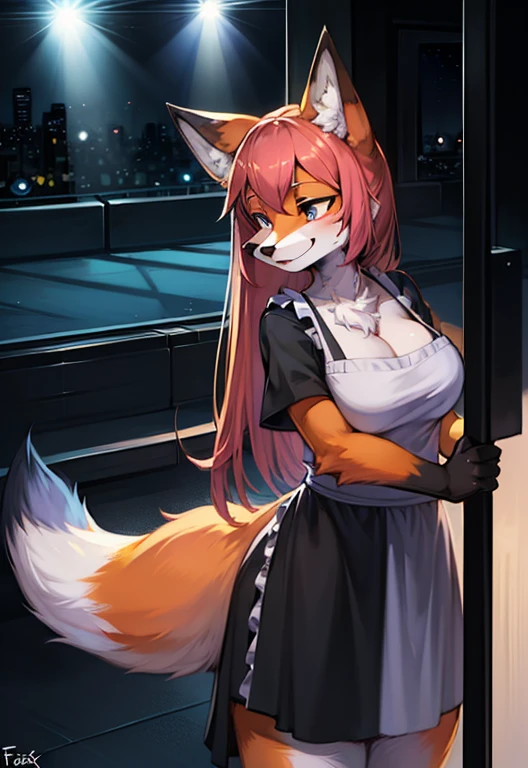 (masterpiece:1.3), (best quality:1.2),(2D:1.0), (anime:1.0), (illustration:1.0), (sharp:1.2), (night_environment), (nightclulear, shiny:0.8), (impasto:1.1), (ultra-detailed:1.0) (1boy, solo), (fox_girl, anthro furry:1.6), (anthro_female_fox:1.2), big boobs, fluffy fur, detailed white and black fluffy fur, apron,