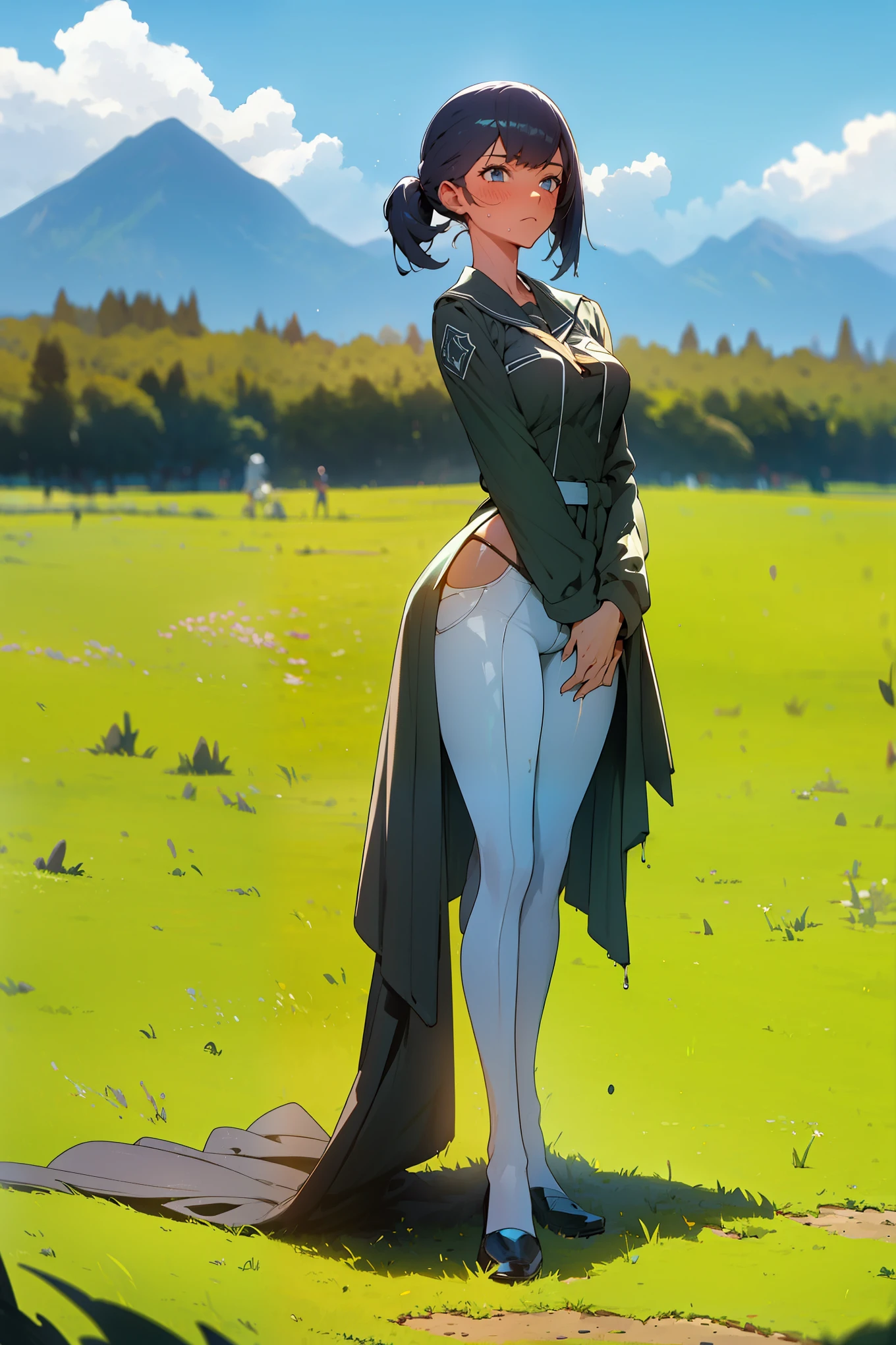 In a green meadow stands a girl leading a group of knights. BREAK With a brave expression, she guides them towards their destination. BREAK Behind her, a green forest stretches out and beyond that, mountains rise in the distance. BREAK The most suitable effect for this scene would be a watercolor painting technique to capture the softness of the meadow and the fluidity of the movement.(La mejor calidad,4k,Altas Resoluciones),(realista:1.37),Shy and blushing,sexy,monos en el suelo,uniforme transparente mojado,Black lingerie,pantalon corto,Medias negras largas,Wet,empapado,abierta de piernas,Agua,(foto ),
(Cuerpo completo,anime),(vivid colors),(Soft lighting)