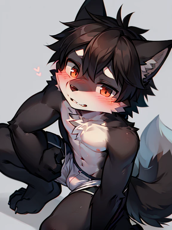 1 boy, Wolf,young people,black fur,topless,Plain white briefs,Squatting,Looking up at the camera,blush