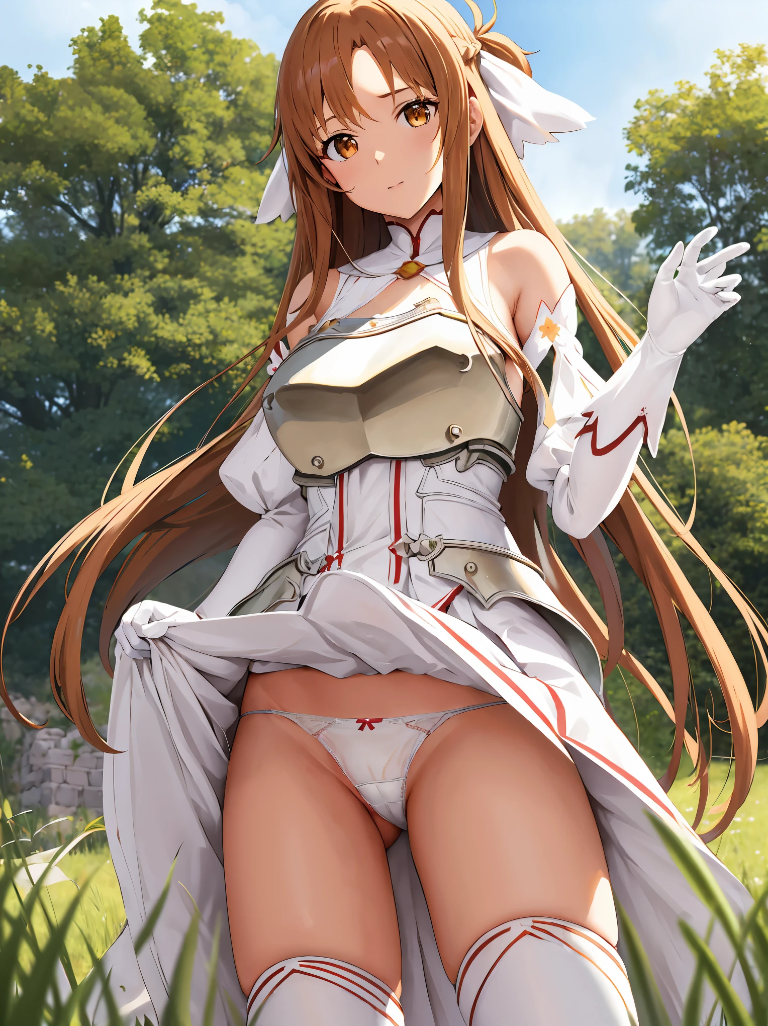 masterpiece, best quality, highres, ddasuna, long hair, brown hair, hair ribbon, brown eyes, bare shoulders, white armor, armored dress, detached sleeves, white gloves, white thighhighs,  standing, grass, field, (white panties:1.3), (spread legs), (upskirt)