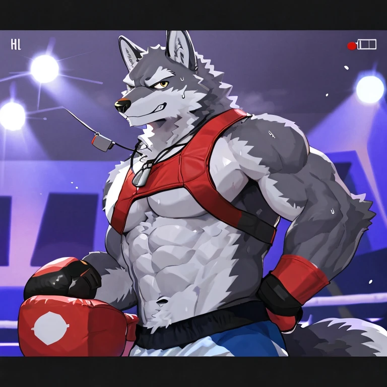 POV,top angle,sleep on stomach,lats,trapezius,butt lift,kemono, anthro (gray wolf), male, (gray wolf), muscular, back, red body, white belly ,sweat, ((correct anatomy)),  (boxing ring background, gym background), 1 boy, solo, pain expression, canine tooth, hd, dark shadows, wide dynamic range, hdr, low light:1.2, front view, full body, canid, canine, canis, domestic gray wolf mammal, nordic sled gray wolf, full body, full res, smile, wearing black short, full body, camera view, side view, full view, whistle, look down at viewer, legs