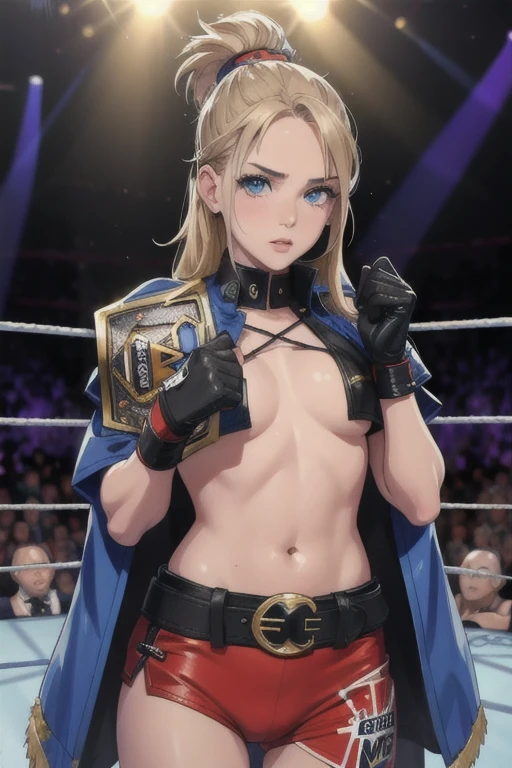 ceinture de champion catch de la WWE