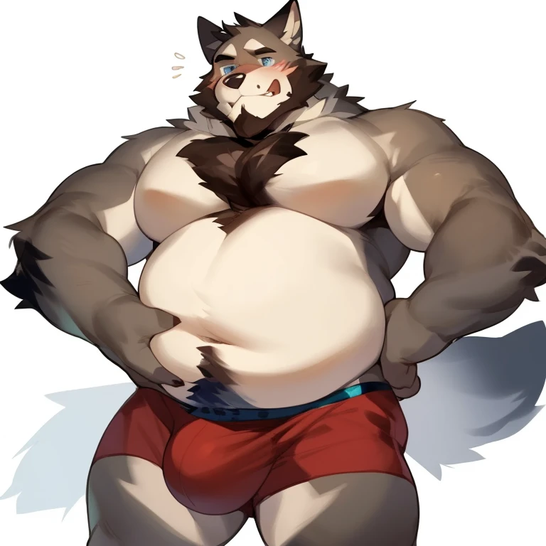 solo, male, werewolf, wolf, canine, chubby, musclegut, broad, sturdy, mature male, dadbod, facial hair, beard, embarrassed, chest fur, stomach fur, hands on belly, looking down at belly, grey fur, blue eyes, body hair, half-body, looking at down at self, boxers, tight boxers, furry chest, furry belly, big bulge, white background, by mystikfox61, by darkgem, by glitter trap boy, by bebebebebe, by doooo2424, by null-ghost