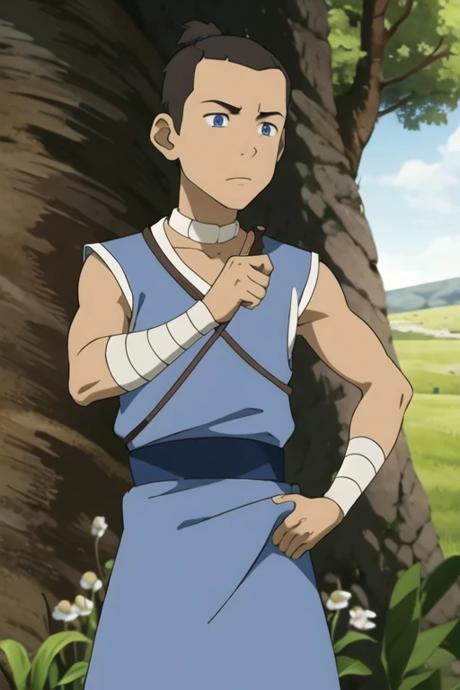 obra maestra, Mejor calidad, still film, 1 chico, solo, enfoque masculino, mirando al espectador, parte superior del cuerpo, profundidad de campo, , realista, Sokka_avatar, By the chestnut, blue eyes, ,