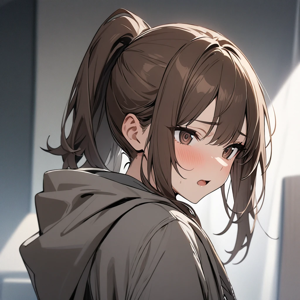 (masterpiece), best quality, expressive eyes, perfect face, 1girl, brown hair、dark brown eyes、ponytail、icon、gray hoodie
