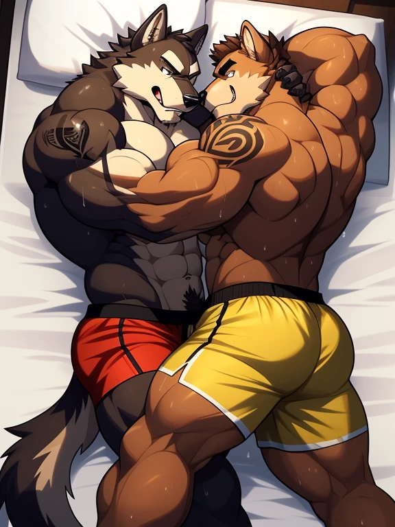 Duo big male fighters(Brown Dog vs Brown with marrow Wolf, handsomes, black eyes, Thick eyebrows), beso gay((Cuddling lying down embraced in a bed match, back perspective)(cuddling body frottage)), hot(Full body, shirtless), handsomes(They are handsomes, correct anatomy), musculosos(Big muscle bodies, Six packs, muscle abs, big pecs, muscle legs, muscle backs), sweaty(very sweaty wet bodies), tatuajes(they have tattoos), Angry(They have an angry expression), Boxing gloves(They both are wearing boxing gloves), boxers(They are wearing shorts boxers), Hight resolution