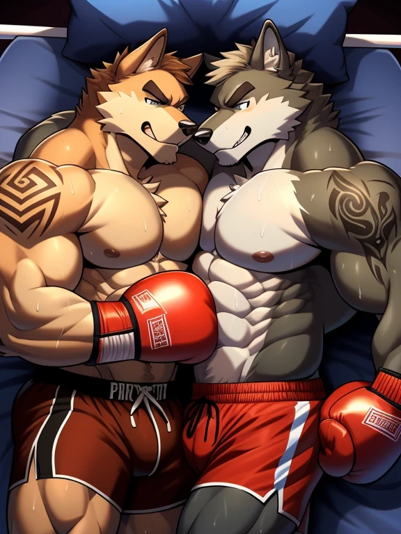 Duo big male fighters(Brown Dog vs Marrow Wolf, handsomes, Thick eyebrows), beso gay((Cuddling lying down embraced in a boxing match)(cuddling body frottage)), hot(Full body, shirtless), handsomes(They are handsomes, correct anatomy), musculosos(Big muscle bodies, Six packs, muscle abs, big pecs, muscle legs, muscle backs), sweaty(very sweaty wet bodies), tatuajes(they have tattoos), Angry(They have an angry expression), Boxing gloves(They both are wearing boxing gloves), boxers(They are wearing shorts boxers), Hight resolution