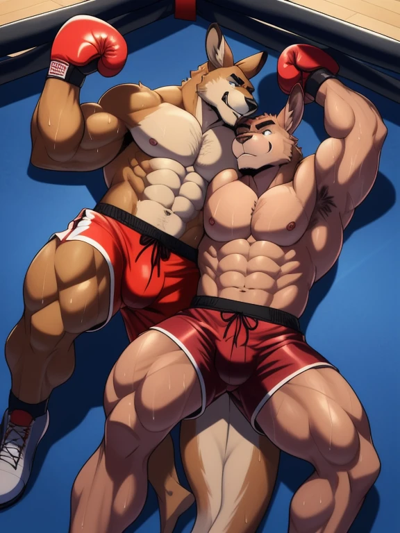 Duo male fighters(Brown Kangaroo vs Brown Kangaroo, handsomes, perfect eyes, Thick eyebrows), beso gay(Cuddling lying down in the ground embraced each other in a boxing match, back perspective), hot(Full body, shirtless), handsomes(They are handsomes, correct anatomy), musculosos(Big muscle bodies, Six packs, muscle abs, big pecs, muscle legs, muscle backs), sweaty(very sweaty wet bodies), tatuajes(they have tattoos), Angry(They have an angry expression), Boxing gloves(They both are wearing boxing gloves), boxers(They are wearing shorts boxers), Hight resolution
