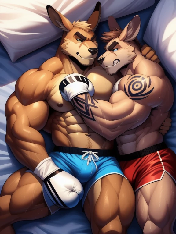 Duo male fighters(Brown Kangaroo vs Brown Kangaroo, handsomes, perfect eyes, Thick eyebrows), beso gay(Cuddling lying down embraced from behind with the legs in a bed match, back perspective), hot(Full body, shirtless), handsomes(They are handsomes, correct anatomy), musculosos(Big muscle bodies, Six packs, muscle abs, big pecs, muscle legs, muscle backs), sweaty(very sweaty wet bodies), tatuajes(they have tattoos), Angry(They have an angry expression), Boxing gloves(They both are wearing boxing gloves), boxers(They are wearing shorts boxers), Hight resolution