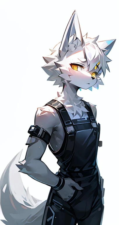 cyber punk perssonage，epcot，Tech style，solo person，White body，White ears，White hair，Overall white，Orange-yellow eyes，Wolf tail，Wolf orcs，Young，Wear a short-sleeved shirt，Ultra-clear screen，Soft lines