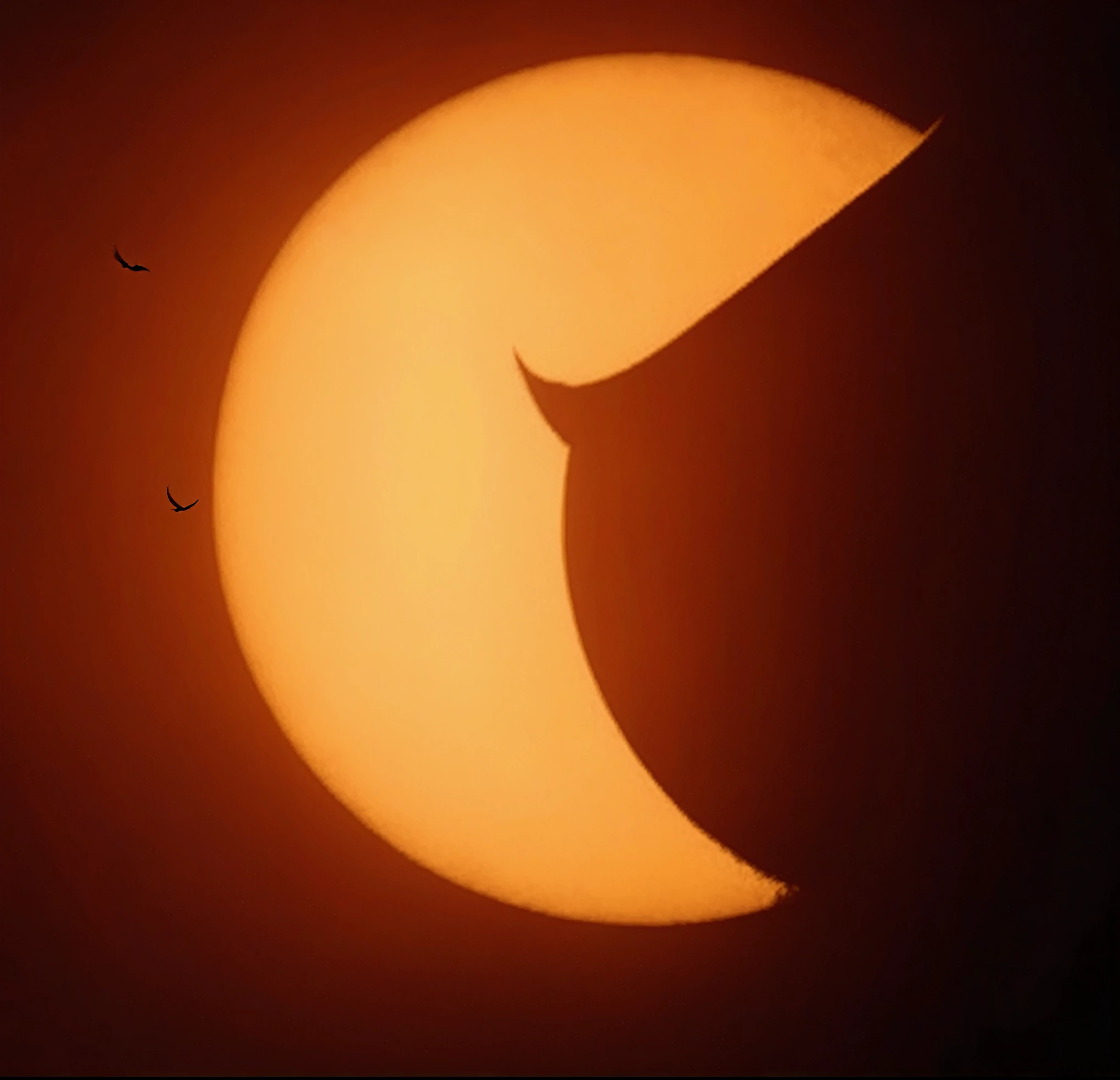 a close up of a partial eclipse with a bird flying in the sky, during an eclipse, solar eclipse, solar eclipse in iceland, an eclipse, solar eclipse in the sky, dark solar eclipse, shining Crescent Moon, eclipse, Crescent Moon, sun is in the top, nuclear blast moon eclipse, noon, 🚀🚀🚀, The sun rising in the sky is strong